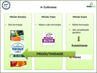 4- Cultivares
Híbrido Simples
• Alta tecnologia
Híbrido Triplo
• Média a alta tecnologia
Híbrido Duplo
• Média tecnologia
• Alta variabilidade
genética
Estabilidade
PRODUTIVIDADE
 
