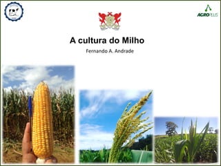A cultura do Milho
Fernando A. Andrade
 