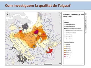 Com investiguem la qualitat de l’aigua?
Menció(2006)TesiDoctoralUAB
 