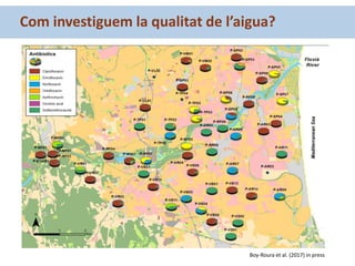 Com investiguem la qualitat de l’aigua?
Boy-Roura et al. (2017) in press
 