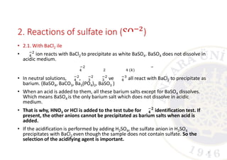 Comprehensive Qualitative Analysis Techniques for Anions in Chemistry | PDF