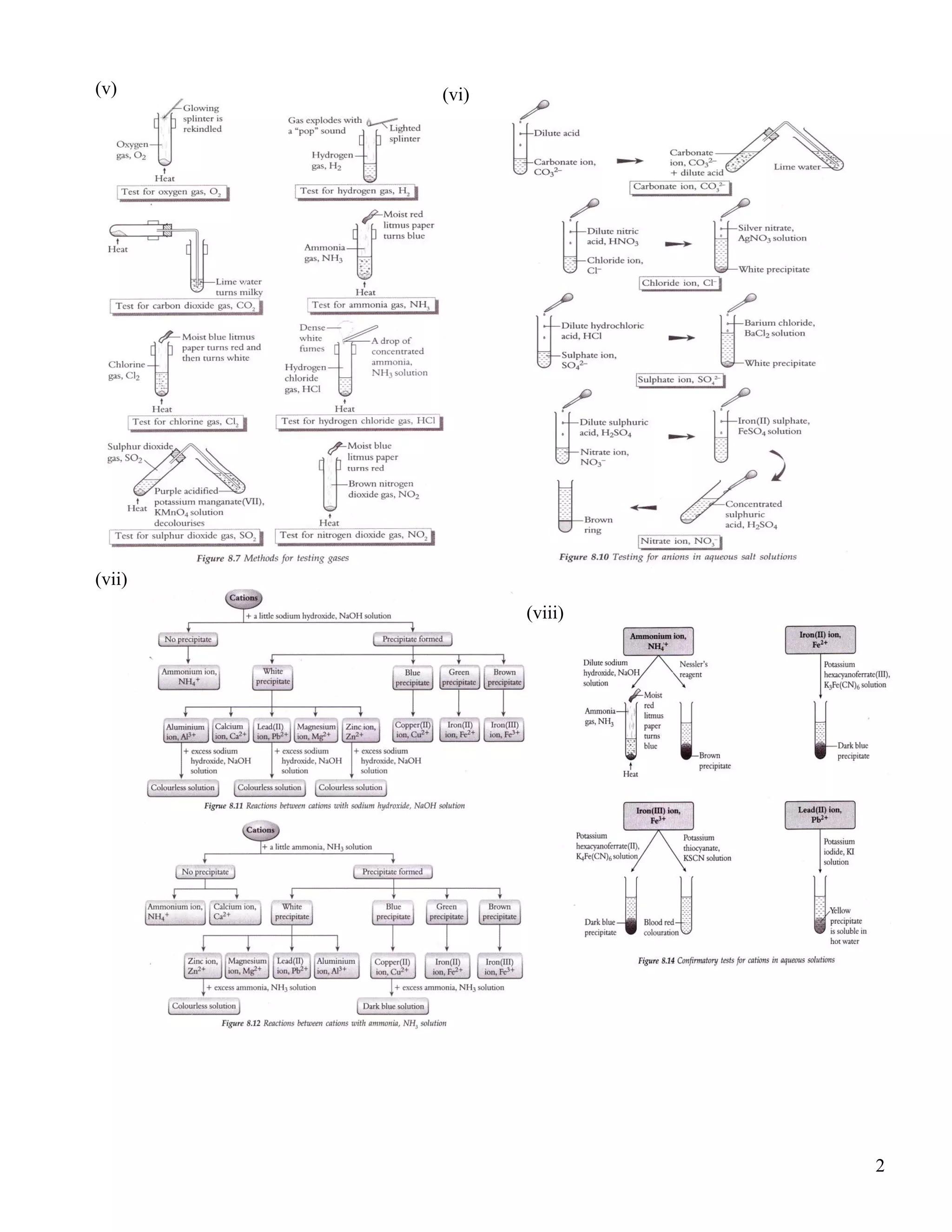 2
(v)
(vii)
(vi)
(viii)