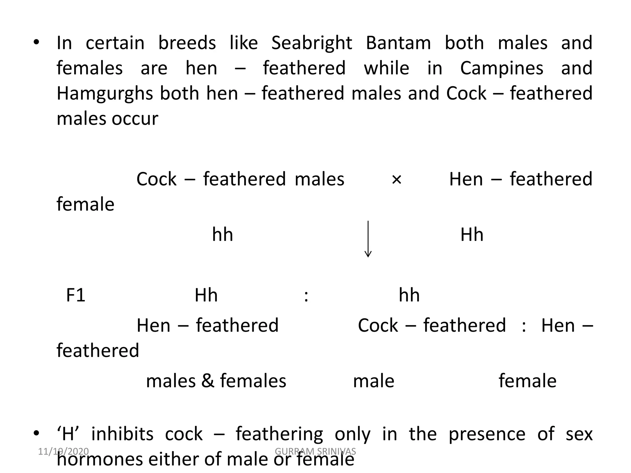 • In certain breeds like Seabright Bantam both males and
females are hen – feathered while in Campines and
Hamgurghs both hen – feathered males and Cock – feathered
males occur
Cock – feathered males × Hen – feathered
female
hh Hh
F1 Hh : hh
Hen – feathered Cock – feathered : Hen –
feathered
males & females male female
• ‘H’ inhibits cock – feathering only in the presence of sex
hormones either of male or female
11/19/2020 GURRAM SRINIVAS
 