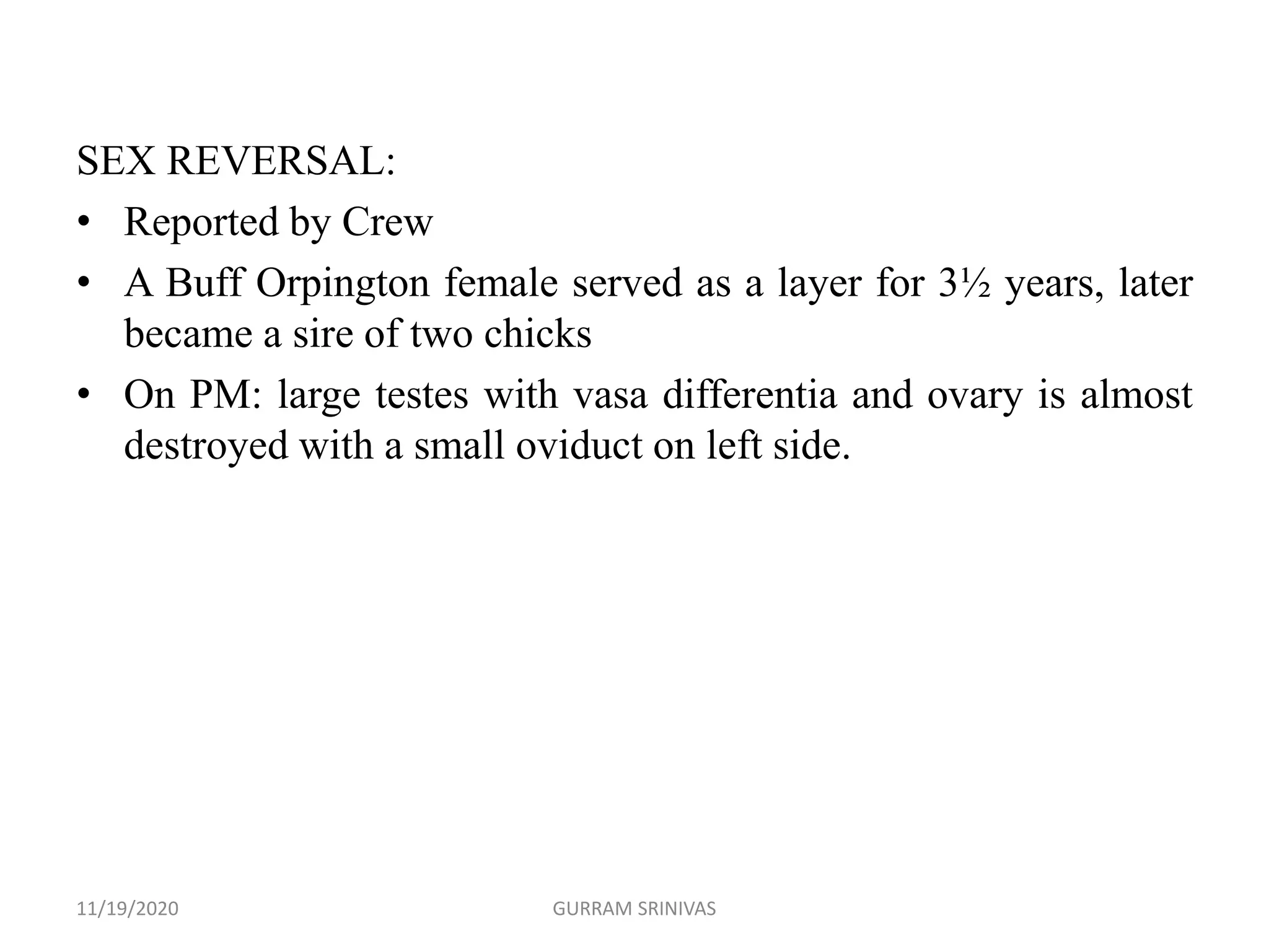 SEX REVERSAL:
• Reported by Crew
• A Buff Orpington female served as a layer for 3½ years, later
became a sire of two chicks
• On PM: large testes with vasa differentia and ovary is almost
destroyed with a small oviduct on left side.
11/19/2020 GURRAM SRINIVAS
 