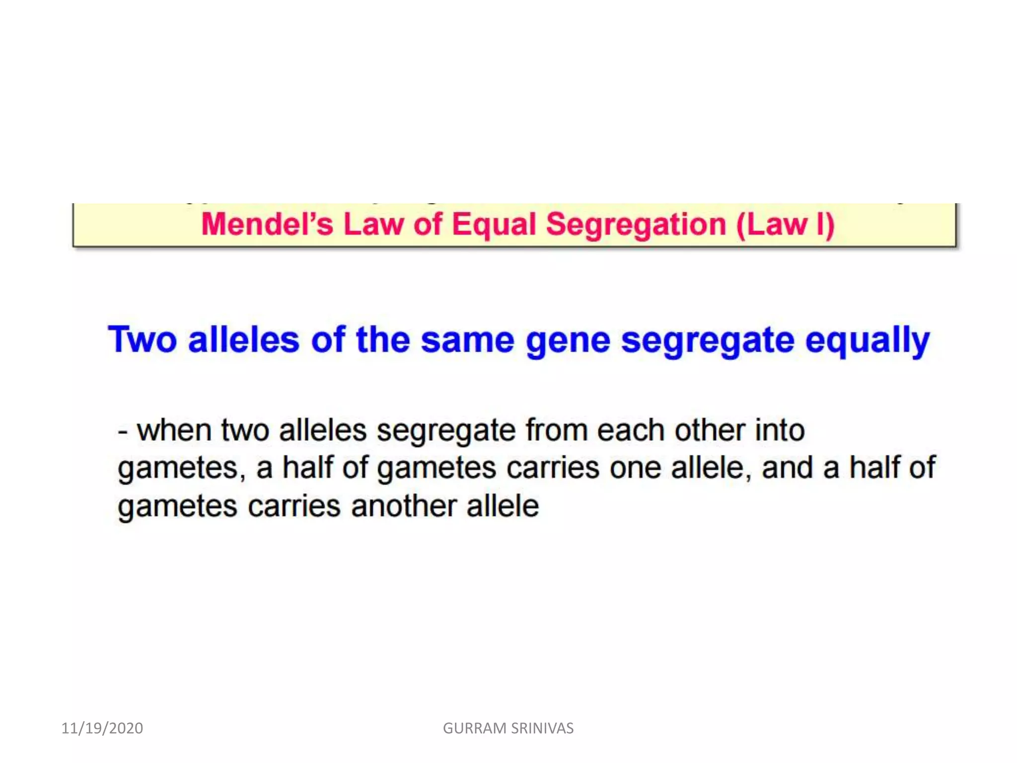 11/19/2020 GURRAM SRINIVAS
 