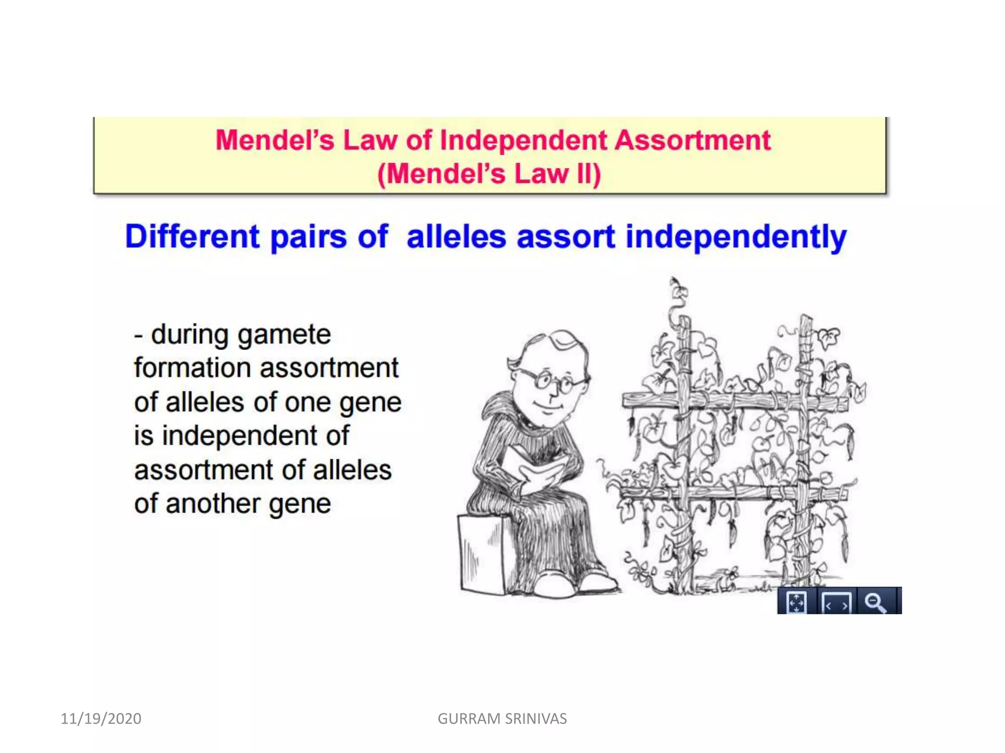 11/19/2020 GURRAM SRINIVAS
 