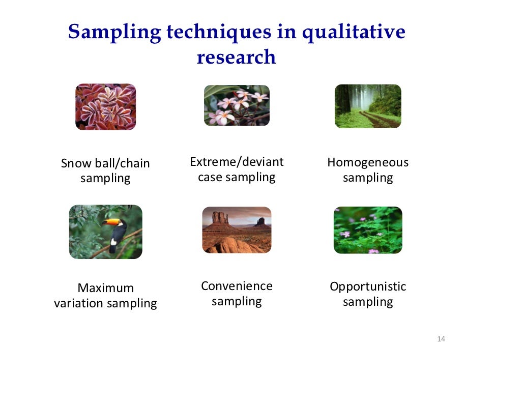 Qualitative data analysis