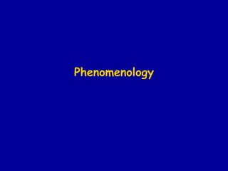 Phenomenology 