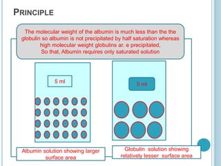 PRINCIPLE
5 ml
Albumin solution showing larger
surface area
Globulin solution showing
relatively lesser surface area
5 ml
The molecular weight of the albumin is much less than the the
globulin so albumin is not precipitated by half saturation whereas
high molecular weight globulins ar. e precipitated,
So that, Albumin requires only saturated solution
 