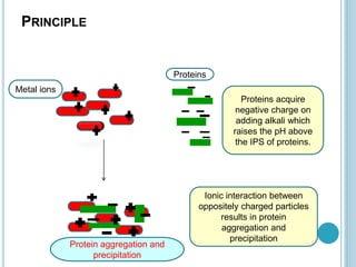 PRINCIPLE
Proteins acquire
negative charge on
adding alkali which
raises the pH above
the IPS of proteins.
Ionic interaction between
oppositely charged particles
results in protein
aggregation and
precipitation
Metal ions
Proteins
Protein aggregation and
precipitation
 