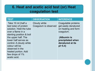 TEST OBSERVATION INFERENCE
Take 10 ml (half a
test tube) of protein
solution. Hold the tube
over a flame in a
slanting position & boil
the upper half. The
lower half serves as
control. A cloudy white
colour will be
observed in the
heated portion. Add
few drops of 1%
acetic acid.
Cloudy white
Coagulum is observed
Coagulable proteins
get easily denatured
on heating and form
coagulum.
(Albumin is
precipitated when
denatured at its
pI~5.4)
6. Heat and acetic acid test (or) Heat
coagulation test
 