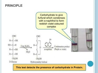 PRINCIPLE
Carbohydrate to give
furfural which condenses
with α-naphthol to form
reddish violet coloured
complex
This test detects the presence of carbohydrate in Protein.
 