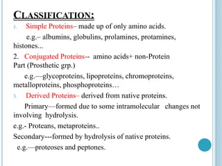 CLASSIFICATION:
1. Simple Proteins– made up of only amino acids.
e.g.– albumins, globulins, prolamines, protamines,
histones...
2. Conjugated Proteins-- amino acids+ non-Protein
Part (Prosthetic grp.)
e.g.—glycoproteins, lipoproteins, chromoproteins,
metalloproteins, phosphoproteins…
3. Derived Proteins– derived from native proteins.
Primary—formed due to some intramolecular changes not
involving hydrolysis.
e.g.- Proteans, metaproteins..
Secondary---formed by hydrolysis of native proteins.
e.g.—proteoses and peptones.
 