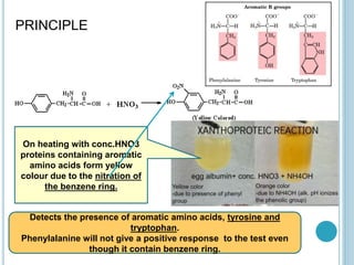 Detects the presence of aromatic amino acids, tyrosine and
tryptophan.
Phenylalanine will not give a positive response to the test even
though it contain benzene ring.
PRINCIPLE
On heating with conc.HNO3
proteins containing aromatic
amino acids form yellow
colour due to the nitration of
the benzene ring.
 