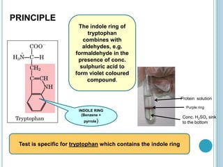 Test is specific for tryptophan which contains the indole ring
PRINCIPLE
INDOLE RING
(Benzene +
pyrrole)
Protein solution
Purple ring
Conc. H2SO4 sink
to the bottom
The indole ring of
tryptophan
combines with
aldehydes, e.g.
formaldehyde in the
presence of conc.
sulphuric acid to
form violet coloured
compound.
 