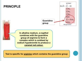 Test is specific for arginine which contains the guanidino group
Guanidino
group
In alkaline medium, α-napthol
combines with the guanidine
group of arginine to form a
complex which is oxidized by
sodium hypobromite to produce a
caramel red colour.
PRINCIPLE
 