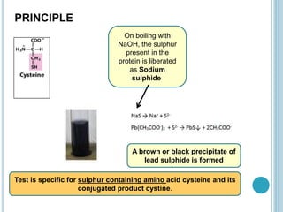 Test is specific for sulphur containing amino acid cysteine and its
conjugated product cystine.
PRINCIPLE
On boiling with
NaOH, the sulphur
present in the
protein is liberated
as Sodium
sulphide.
A brown or black precipitate of
lead sulphide is formed
 