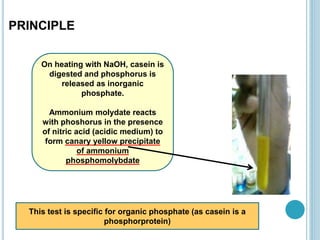 This test is specific for organic phosphate (as casein is a
phosphorprotein)
On heating with NaOH, casein is
digested and phosphorus is
released as inorganic
phosphate.
Ammonium molydate reacts
with phoshorus in the presence
of nitric acid (acidic medium) to
form canary yellow precipitate
of ammonium
phosphomolybdate
PRINCIPLE
 