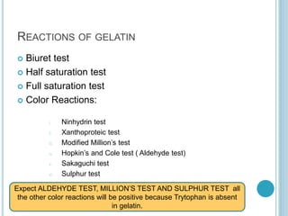 REACTIONS OF GELATIN
 Biuret test
 Half saturation test
 Full saturation test
 Color Reactions:
i. Ninhydrin test
ii. Xanthoproteic test
iii. Modified Million’s test
iv. Hopkin’s and Cole test ( Aldehyde test)
v. Sakaguchi test
vi. Sulphur test
Expect ALDEHYDE TEST, MILLION’S TEST AND SULPHUR TEST all
the other color reactions will be positive because Trytophan is absent
in gelatin.
 
