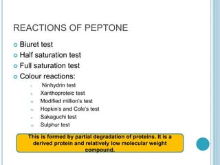 REACTIONS OF PEPTONE
 Biuret test
 Half saturation test
 Full saturation test
 Colour reactions:
i. Ninhydrin test
ii. Xanthoproteic test
iii. Modified million’s test
iv. Hopkin’s and Cole’s test
v. Sakaguchi test
vi. Sulphur test
This is formed by partial degradation of proteins. It is a
derived protein and relatively low molecular weight
compound.
 