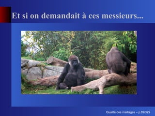 Et si on demandait à ces messieurs...




                                ´
                          Qualite des maillages – p.89/329
 
