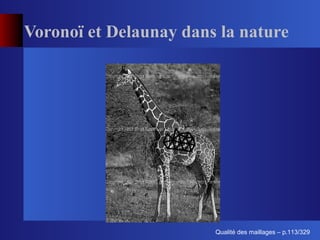 Voronoï et Delaunay dans la nature




                              ´
                        Qualite des maillages – p.113/329
 