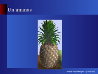 Un ananas




                  ´
            Qualite des maillages – p.115/329
 
