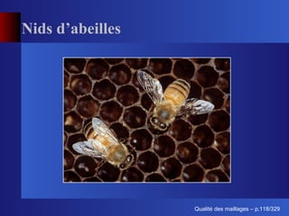 Nids d’abeilles




                        ´
                  Qualite des maillages – p.118/329
 