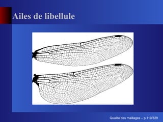 Ailes de libellule




                           ´
                     Qualite des maillages – p.119/329
 