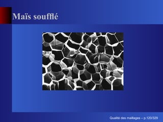 Maïs soufﬂé




                    ´
              Qualite des maillages – p.120/329
 