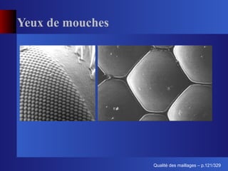Yeux de mouches




                        ´
                  Qualite des maillages – p.121/329
 