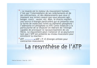 * « Le muscle est le moteur du mouvement humain.

C’est par l’intermédiaire de ses relâchements et de
ses contractions, et des déplacements que ceux ci
imposent aux leviers osseux que nous pouvons agir,
bouger, courir , sauter, etc. Mais, le muscle requiert
une source d’énergie particulière qui se présente sous
la forme de molécules riches en éléments phosphore :
l’adénosine tri-phosphate ou ATP. Cette molécule a la
particularité de se dissocier en libérant de l’énergie
capable de provoquer le raccourcissement de ces
fibres. Le mouvement peut s’amorcer et se poursuivre
tant que l’ATP est présente au niveau musculaire pour
entretenir la réaction »
* ATP
ADP + P +E (Energie utilisée pour
contraction musculaire)

Fabrice Serrano - Step Up - 2013

 