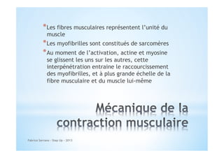 * Les fibres musculaires représentent l’unité du
muscle

* Les myofibrilles sont constitués de sarcomères
* Au moment de l’activation, actine et myosine

se glissent les uns sur les autres, cette
interpénétration entraine le raccourcissement
des myofibrilles, et à plus grande échelle de la
fibre musculaire et du muscle lui-même

Fabrice Serrano - Step Up - 2013

 