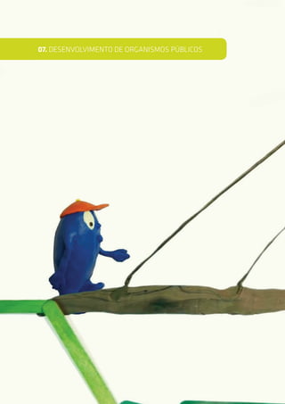 07. DESENVOLVIMENTO DE ORGANISMOS PÚBLICOS
 