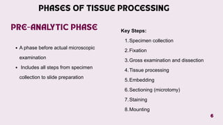 Comprehensive Guide to Quality Assurance in Tissue Processing and ...
