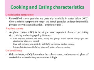 Quality analysis in rice | PPT