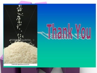 Quality analysis in rice | PPT