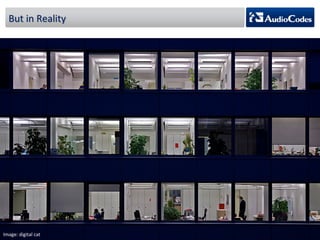 But 
in 
Reality 
Image: 
digital 
cat 
 