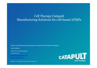 Cell Therapy Catapult
Manufacturing Solutions for cell-based ATMPs

Quality and Manufacturing Solutions for Advanced Therapies Workshop
Sarah Callens
Head of Process Development
November 2013
Sarah.callens@ct.catapult.org.uk
http://ct.catapult.org.uk/ 
Catapult is a Technology Strategy Board programme

 