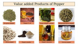 Quality and processing of spices presentation | PDF