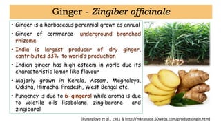 Quality and processing of spices presentation | PDF