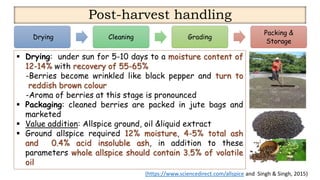 Spice Processing.pdf Quality and processing of spices presentation | PDF