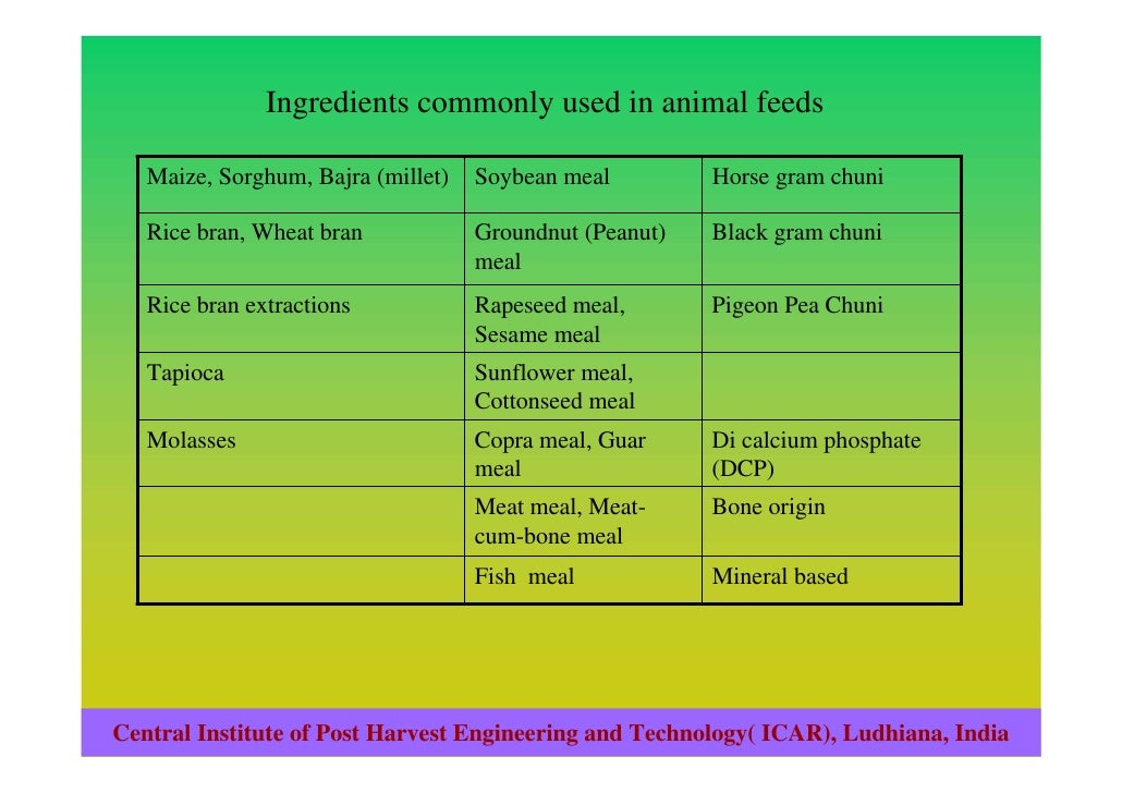 Quality and safety of animal feed in india