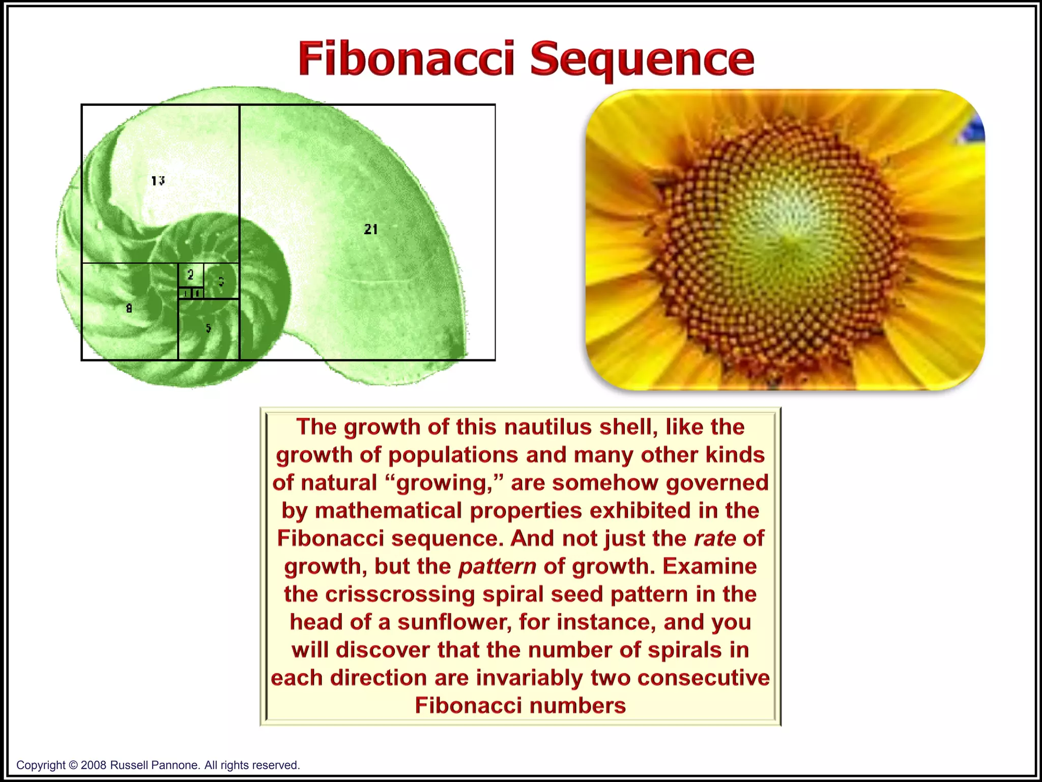 Copyright © 2008 Russell Pannone. All rights reserved.
 