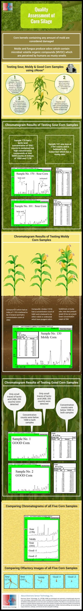 Quality Assessment of Corn Silage