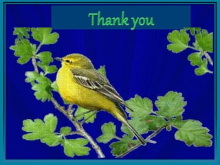 Quality assurance -Models  & approaches 