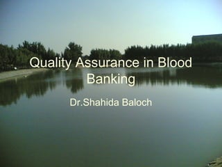 Quality Assurance in Blood
Banking
Dr.Shahida Baloch
 