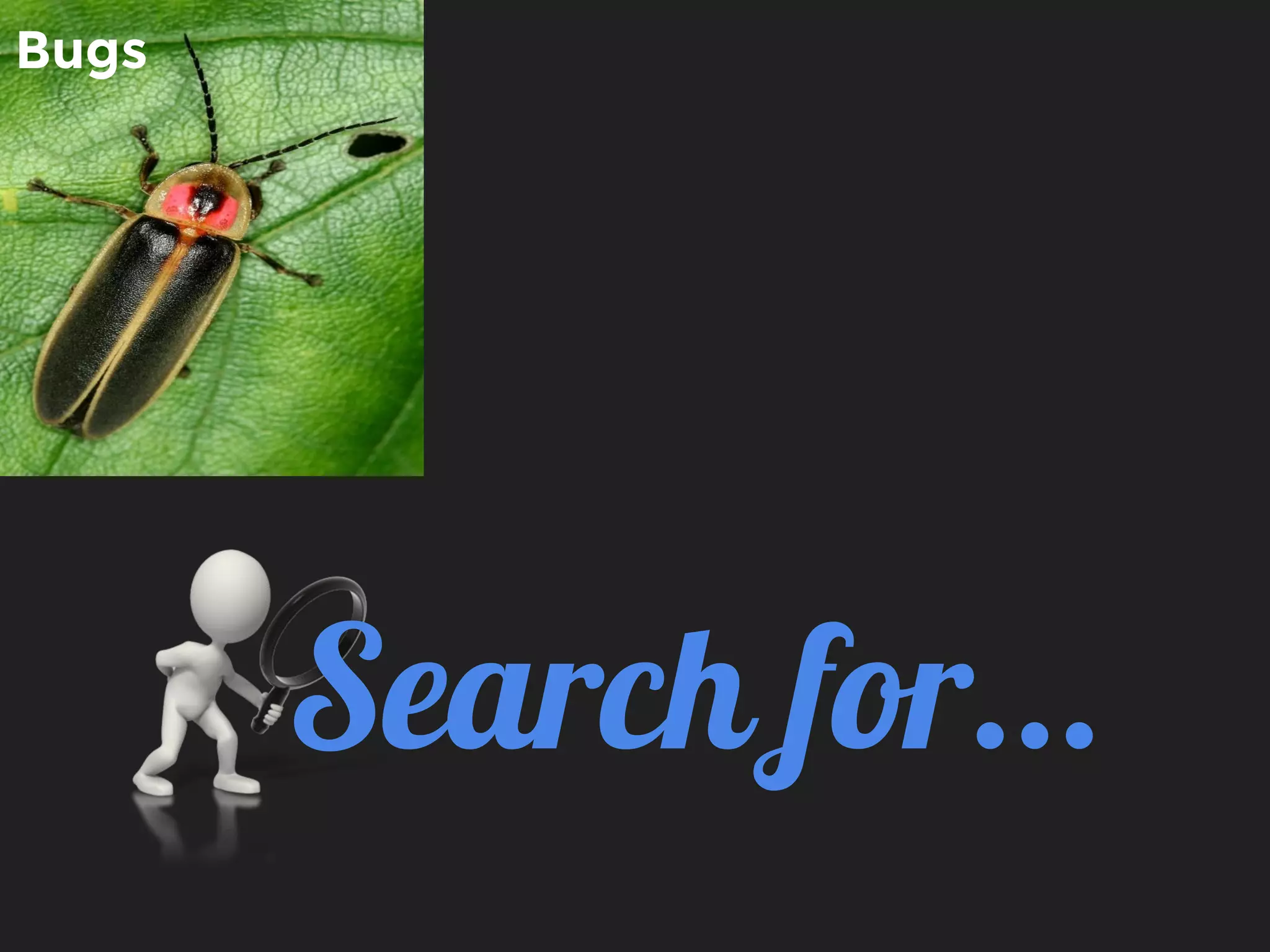 Search for...
Bugs
 
