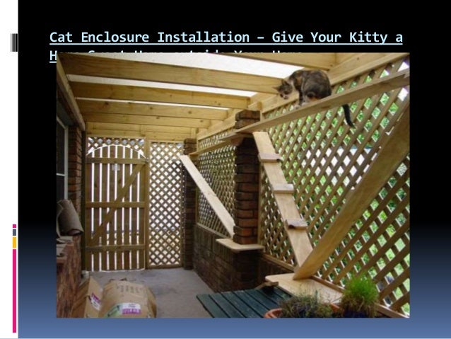 Quality cat enclosures melbourne by catshack australia
