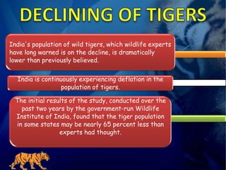India's population of wild tigers, which wildlife experts
have long warned is on the decline, is dramatically
lower than previously believed.


  India is continuously experiencing deflation in the
                  population of tigers.

  The initial results of the study, conducted over the
    past two years by the government-run Wildlife
  Institute of India, found that the tiger population
  in some states may be nearly 65 percent less than
                  experts had thought.
 